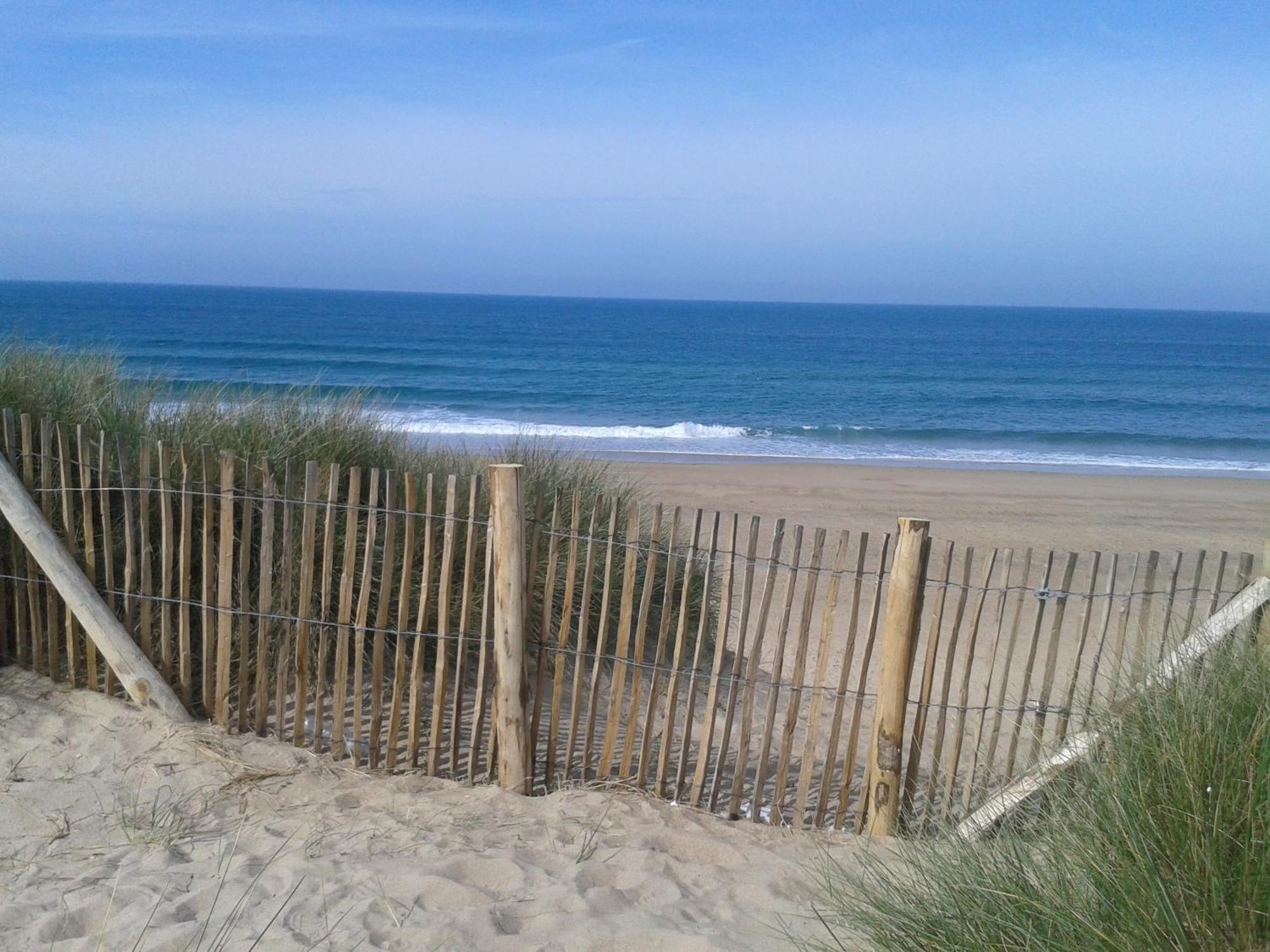 Gite "Rose Des Sables" - 800M De La Plage De Surtainville, Proche Commerces - Piscine En Juillet Et Aout Экстерьер фото